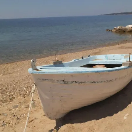 Finikas Garden Beach Nikiti (Sithonia)